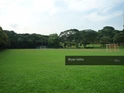 Windsor Park (D20), Terrace #131305782